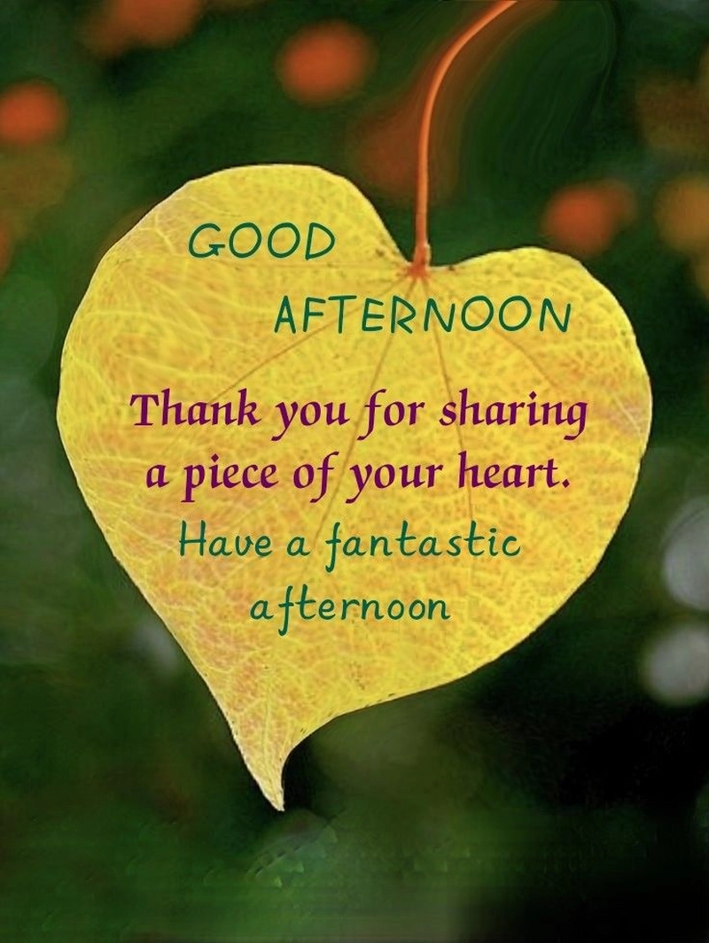 positive good afternoon quotes