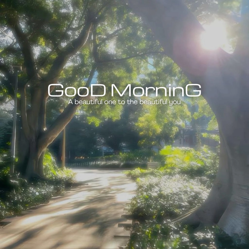 scenery good morning