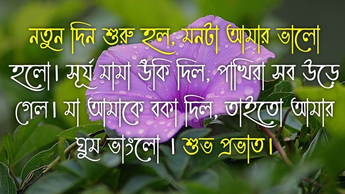 subho sokal bengali