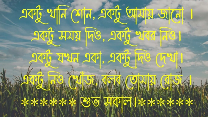 subho sokal caption in bengali