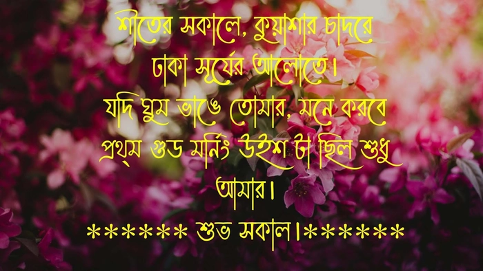 subho sokal images