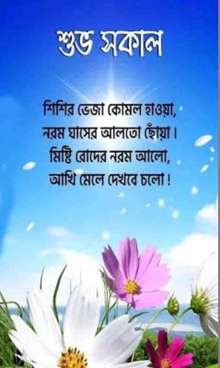 subho sokal message