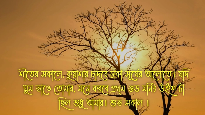 subho sokal quotes
