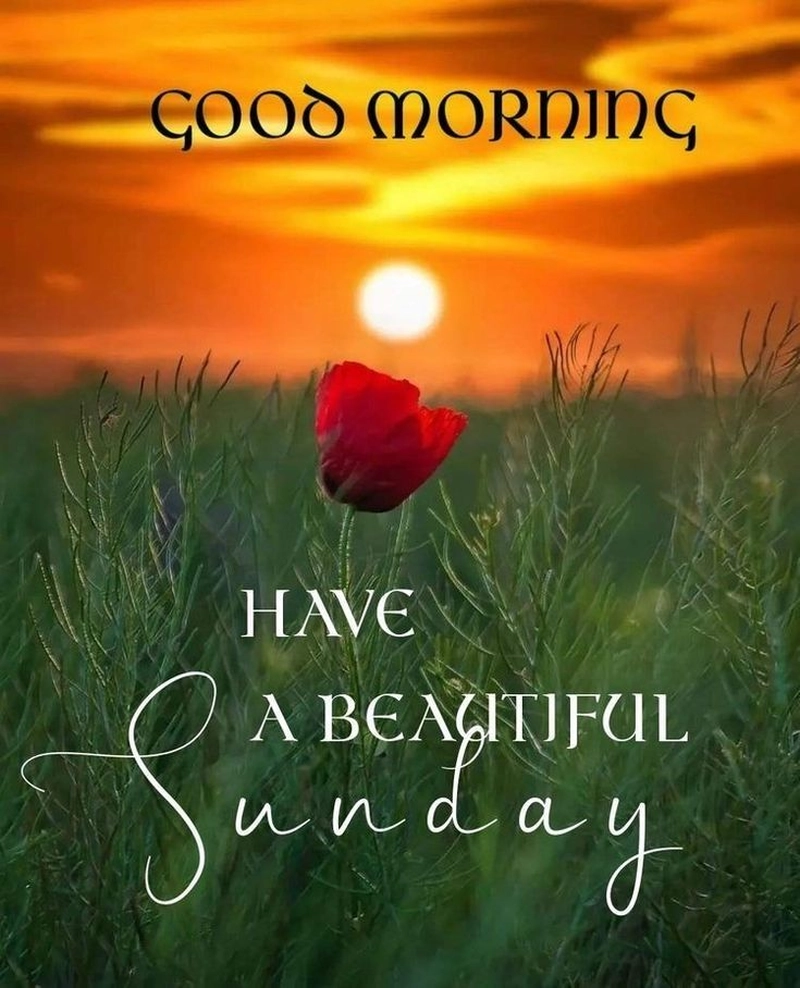 sunday morning greetings images and quotes