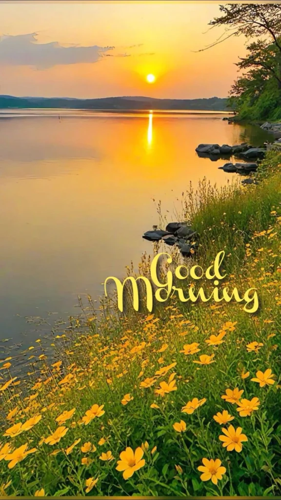 sunrise romantic good morning images