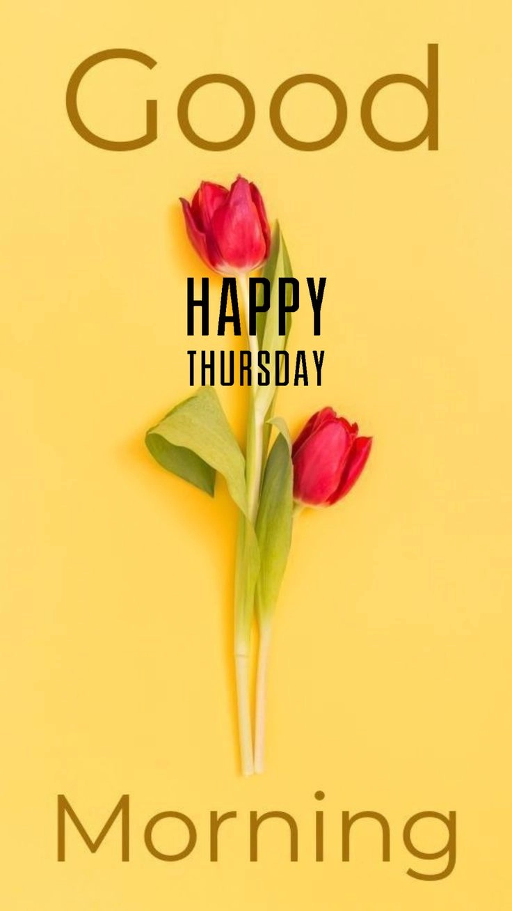 thursday morning photos