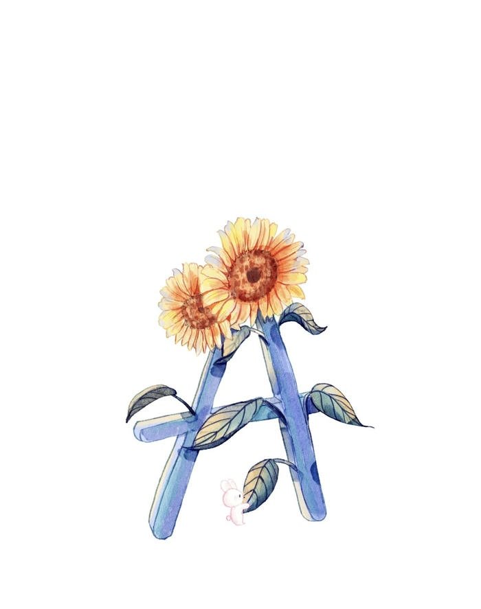 aesthetic profile a name