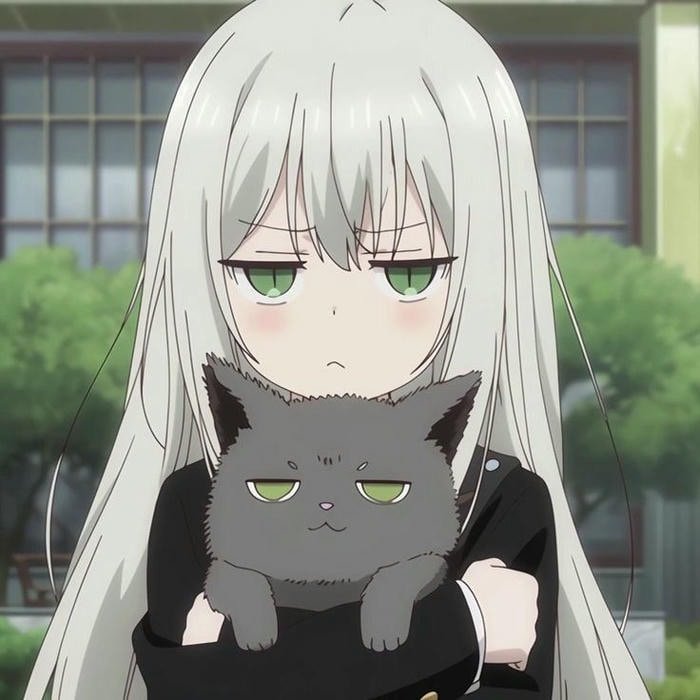 animated dp for whatsapp