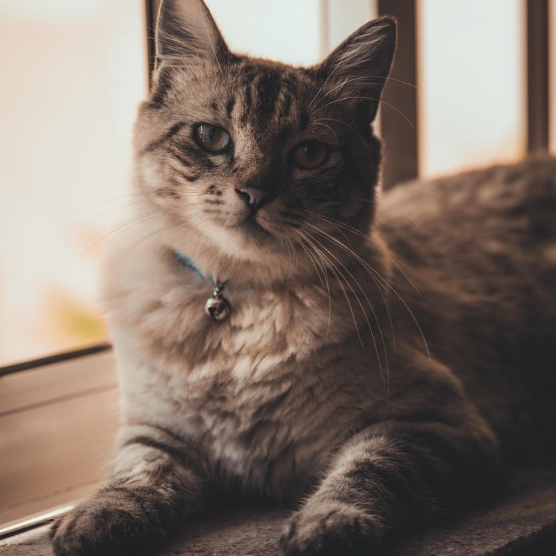 new whatsapp dp casual aesthetic